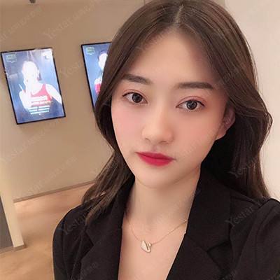 掌机数码世界bt版下载